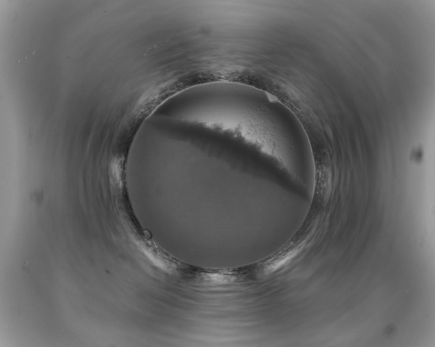 X0000091860286200709051214