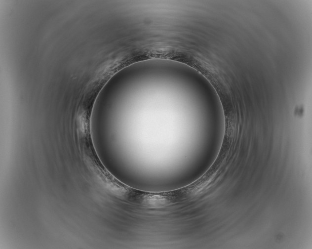 X0000091860287200709051214