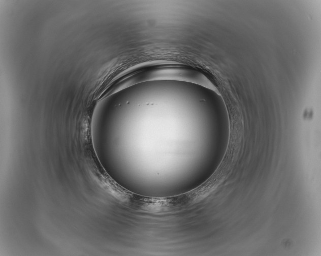 X0000091860288200709051215