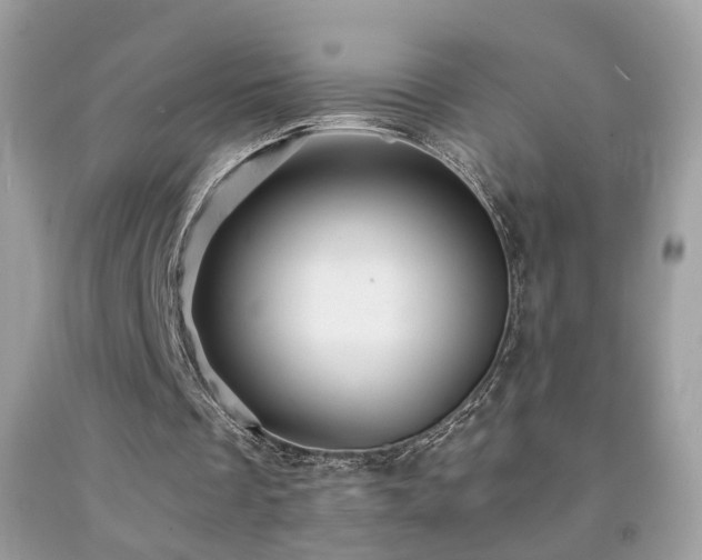 X0000091860289200709051214