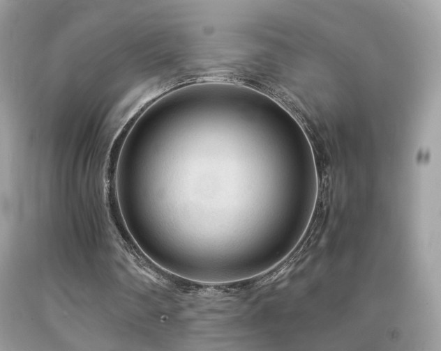 X0000091860290200709051214