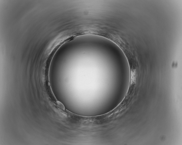 X0000091860291200709051214