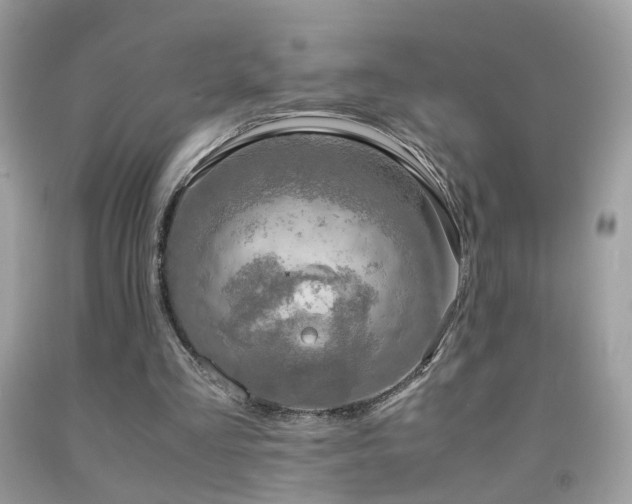 X0000091860293200709051214