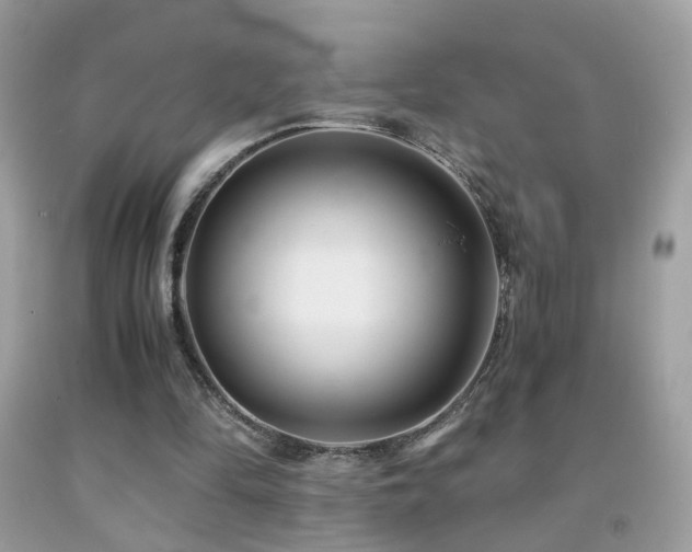 X0000091860294200709051214