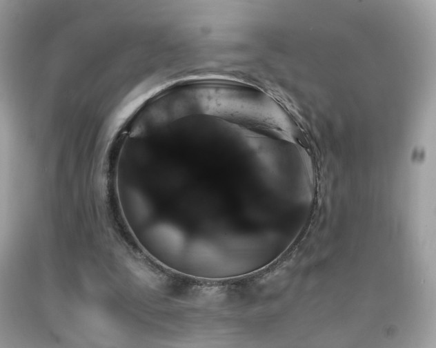 X0000091860295200709051214