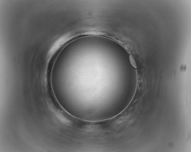 X0000091860296200709051214