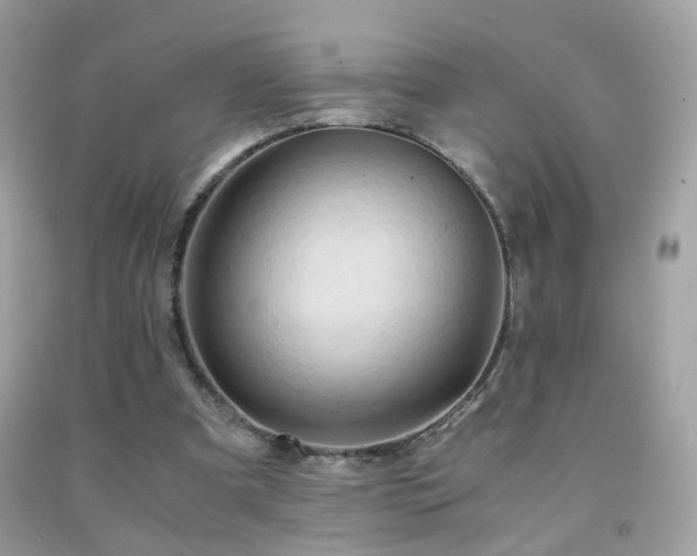 X0000091860297200709051214