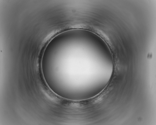 X0000091860298200709051214