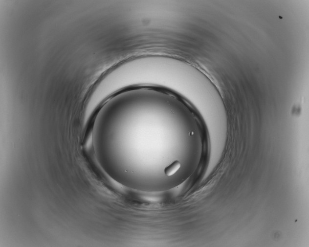 X0000091860301200709051214