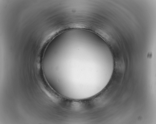 X0000091860302200709051214