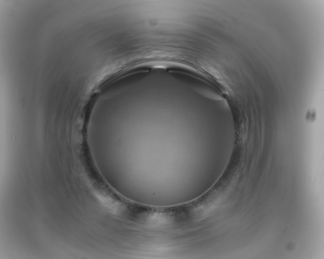 X0000091860303200709051214