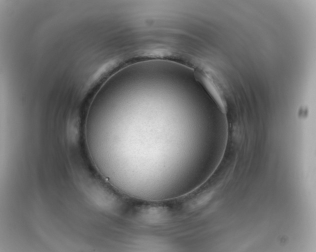 X0000091860304200709051214