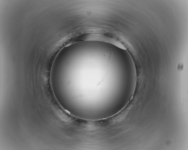 X0000091860305200709051214