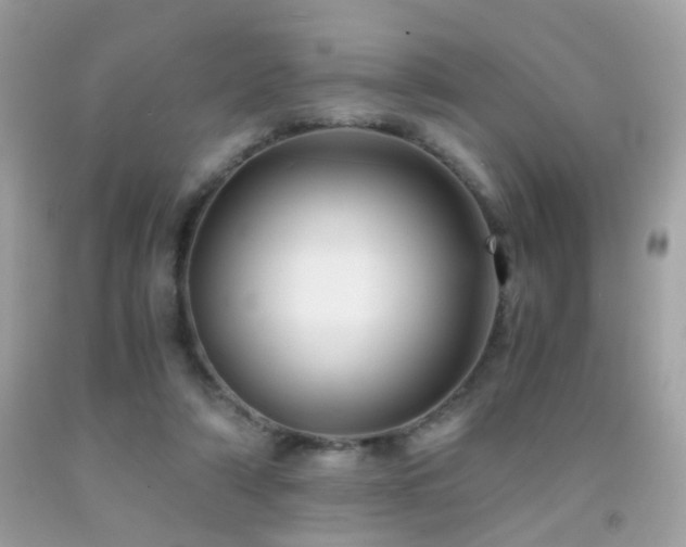 X0000091860306200709051214