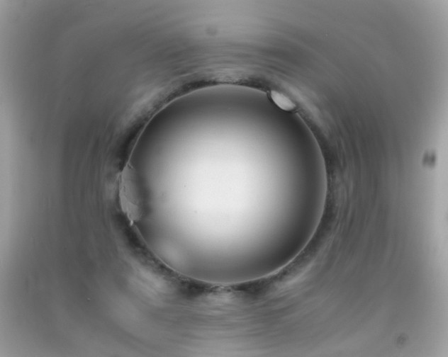 X0000091860307200709051214