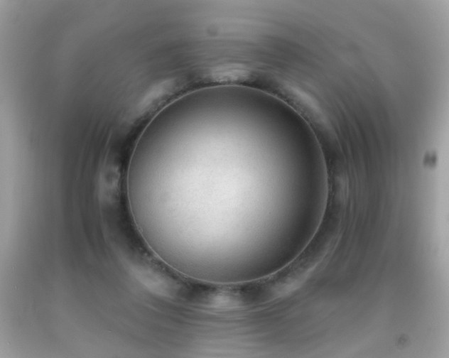 X0000091860308200709051213