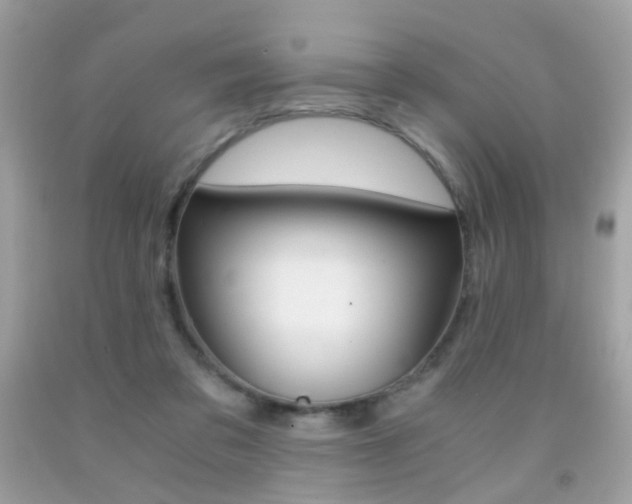 X0000091860309200709051213