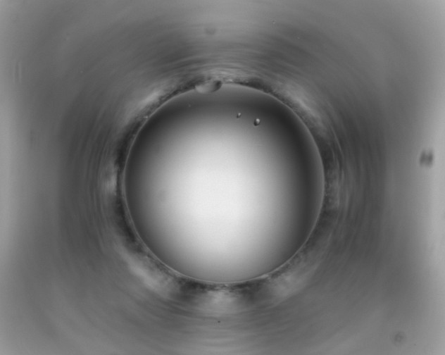 X0000091860310200709051213