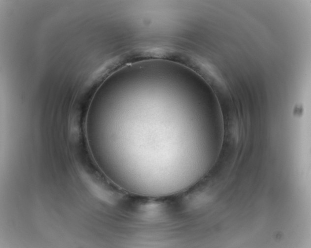 X0000091860312200709051213