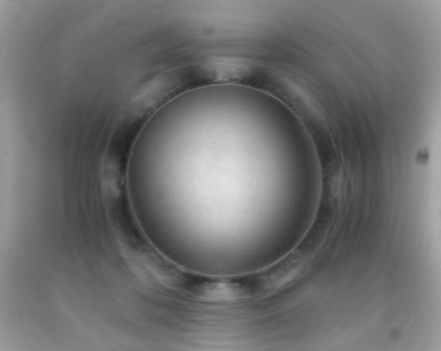 X0000091860316200709051213