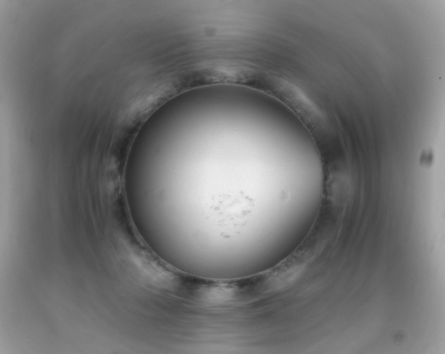 X0000091860318200709051213