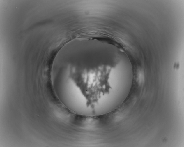 X0000091860319200709051213