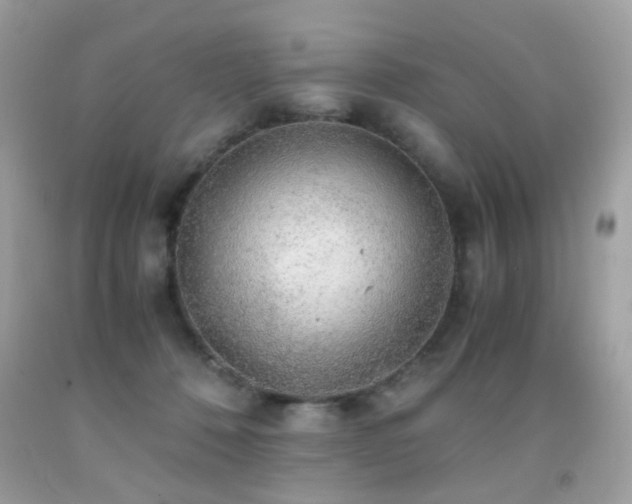 X0000091860320200709051213