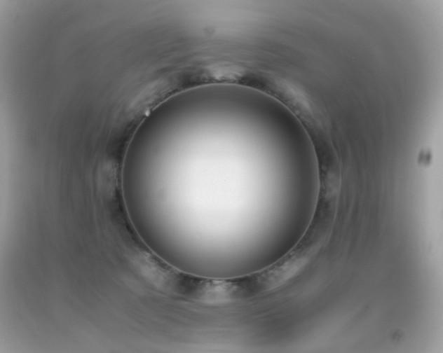 X0000091860321200709051213