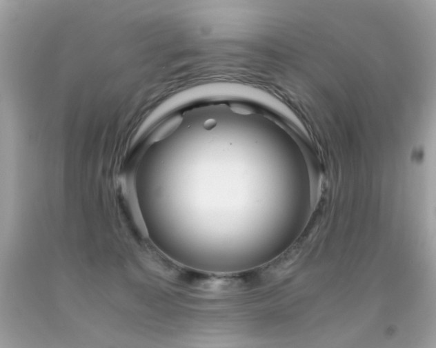 X0000091860323200709051213