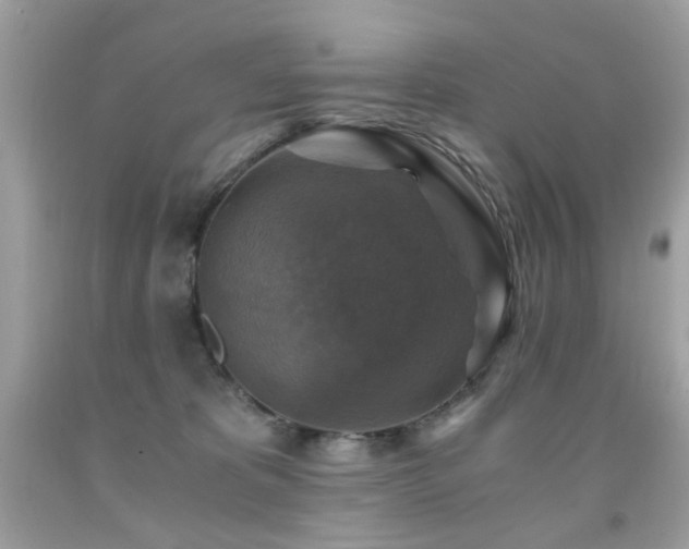 X0000091860325200709051213