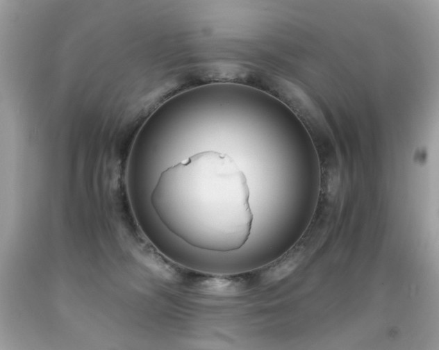 X0000091860326200709051213