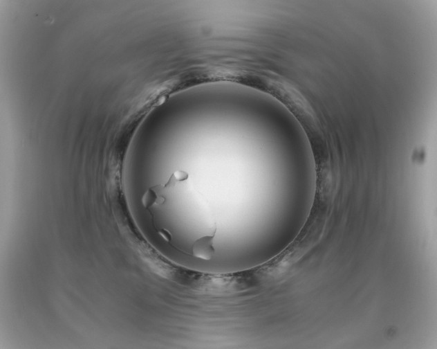 X0000091860329200709051213