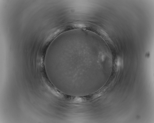 X0000091860330200709051213