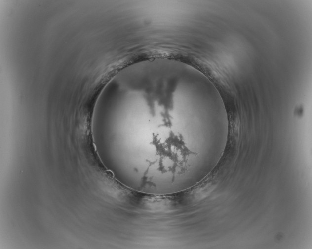 X0000091860331200709051213