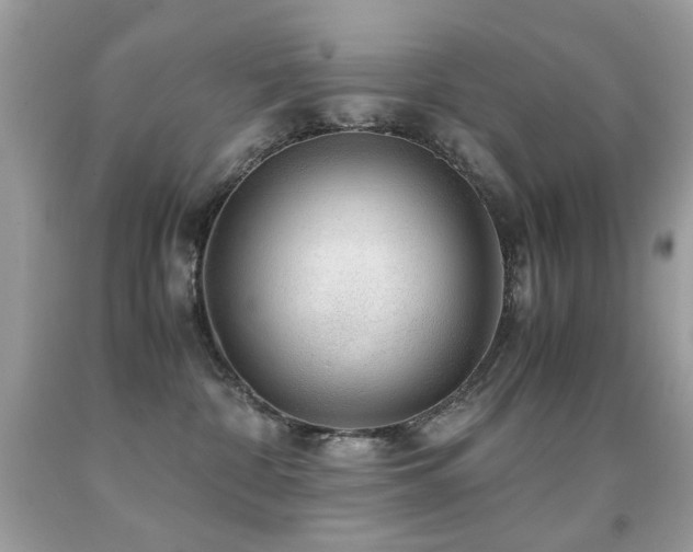 X0000091860332200709051213