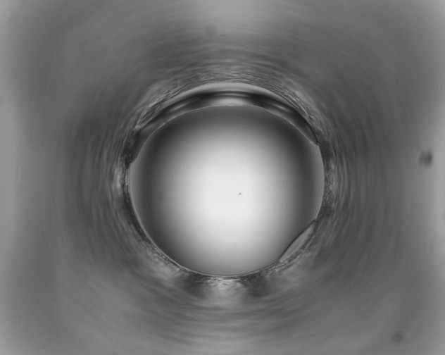 X0000091860333200709051213