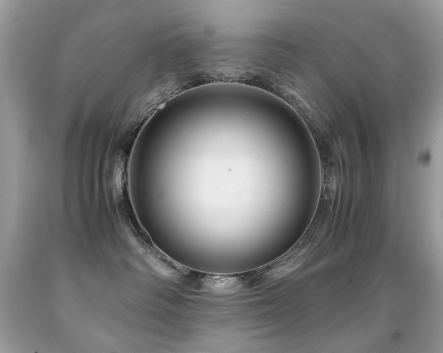 X0000091860334200709051213