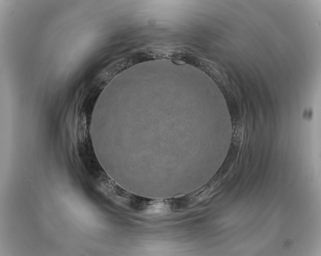 X0000091860335200709051213