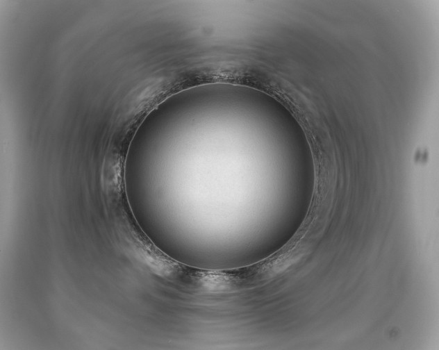 X0000091860336200709051213