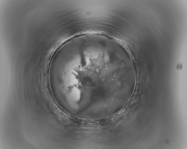 X0000091860337200709051213