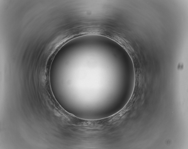 X0000091860338200709051213