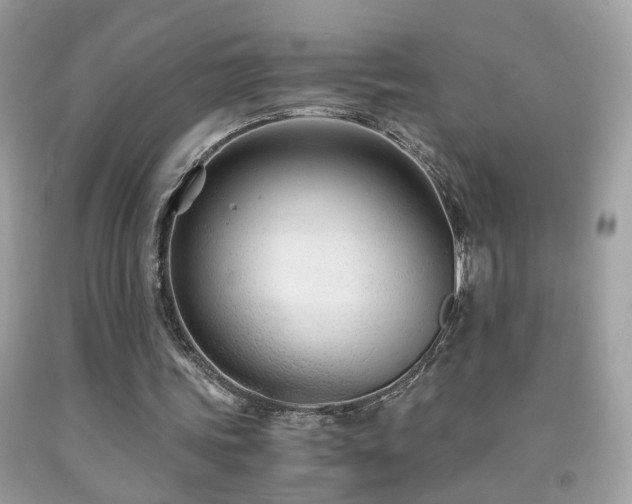 X0000091860339200709051213