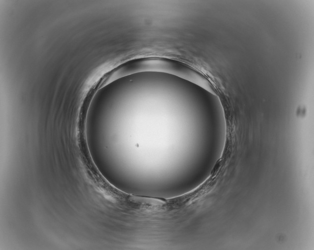 X0000091860340200709051213