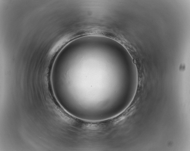 X0000091860341200709051213