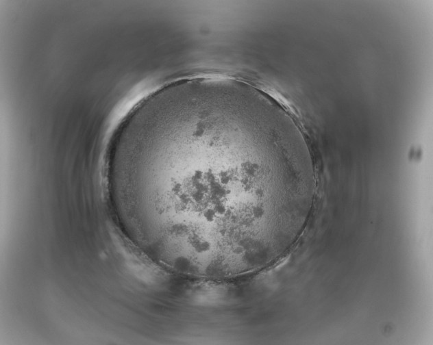 X0000091860343200709051213