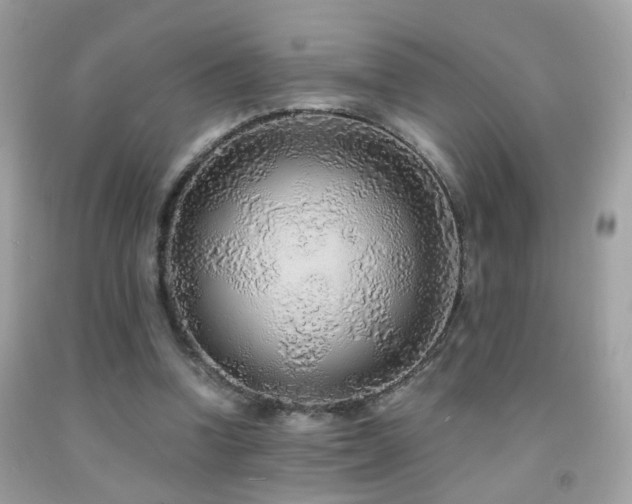 X0000091860346200709051213