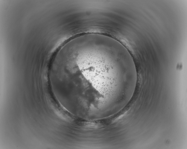 X0000091860347200709051213