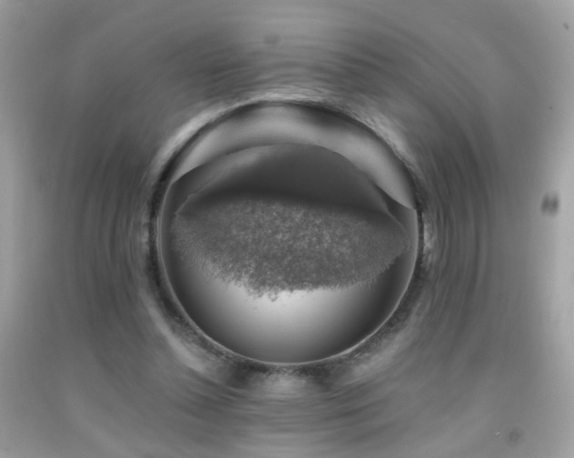 X0000091860348200709051213