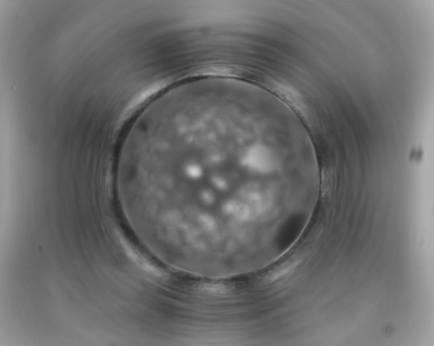 X0000091860349200709051213