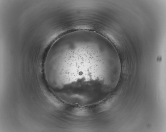 X0000091860351200709051213